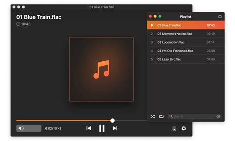 Can Apple Music Play Flac: An Examination of Music File Compatibility